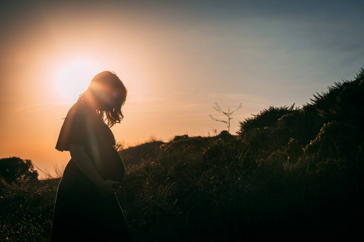 Silhouette of a pregnant woman at sunset in a field